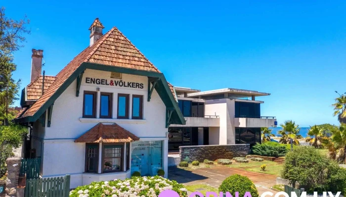 Inmobiliaria Engel Volkers Montevideo Horario - Montevideo