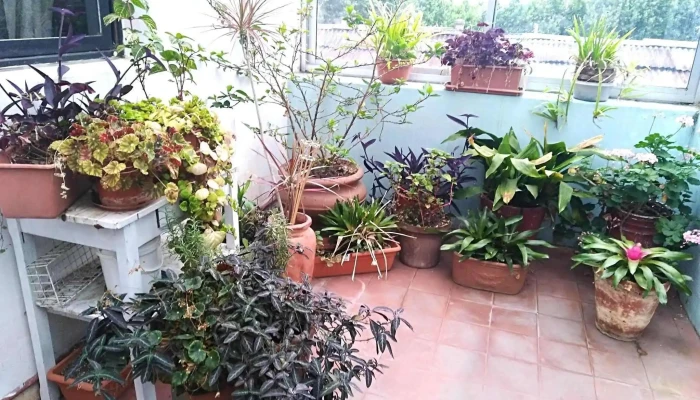 Inmobiliaria Estudio Dinamica Instagram - Col. del Sacramento