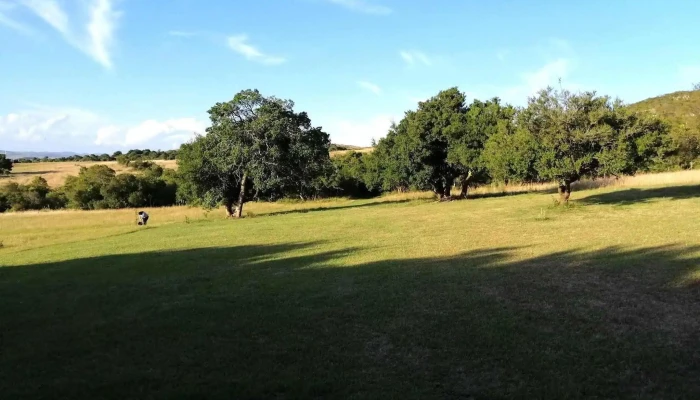 Inmobiliaria Gabriel Barrios -  Del Propietario - Maldonado