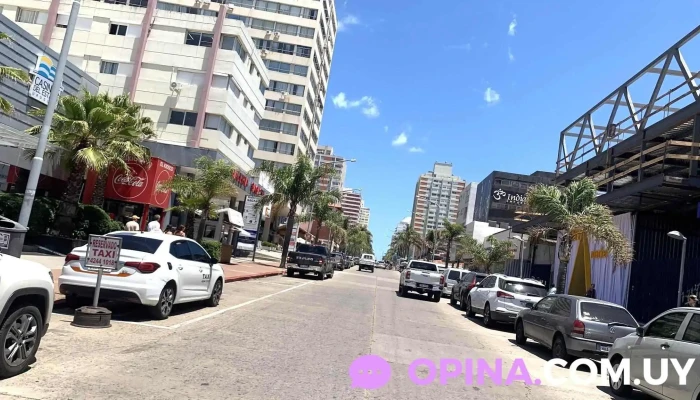 Inmobiliaria Gorlero -  Precios - Punta del Este