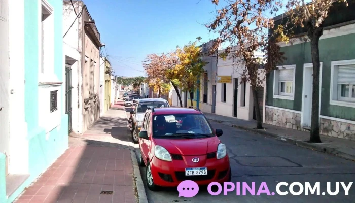 Inmobiliaria Mario Cedrani -  Sitio Web - San José de Mayo