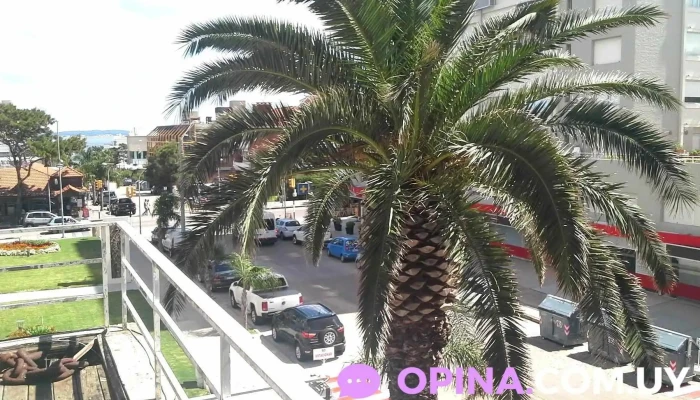 Inmobiliaria Playa Del Este - Punta Del Este