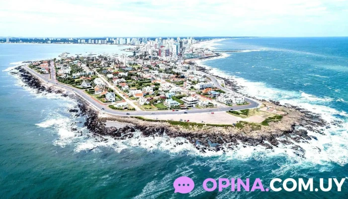 Inmobiliaria Punta Del Este Antonio Mieres Horario - Punta del Este