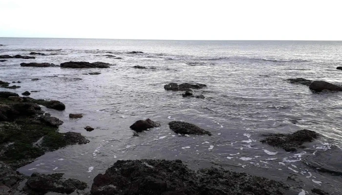 Inmobiliaria Sierra Y Mar -  Sitio Web - Piriápolis