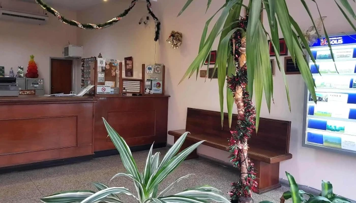 Inmobiliaria Solis Srl Diseno Interior - Pando