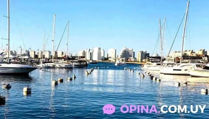 Inmobiliaria Verona Punta -  Opiniones - Punta del Este