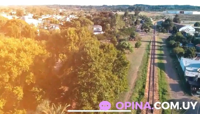 Inmobiliaria Washington Roland Propiedades -  Cerca De Mi - Rivera