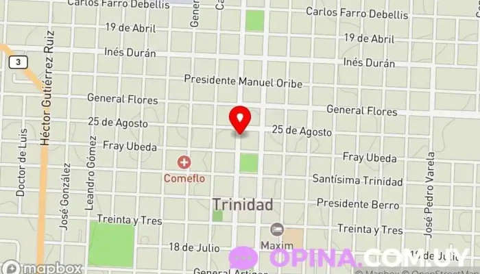 mapa de Inspección Departamental de Flores Escuela en Trinidad