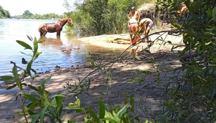 Institución Atlética Sud América - Mercedes