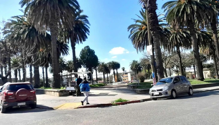 Instituto Clinica Del Cerro Direccion - Montevideo