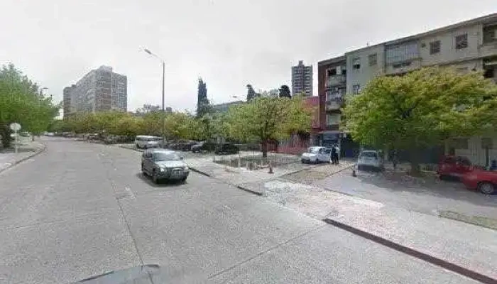 Instituto Confucio Instituto Linguistica Direcciondeg - Montevideo