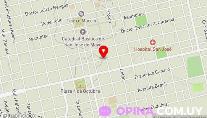 mapa de INSTITUTO DE AEROBICA ANA NÚÑEZ IAN Gimnasio en San José de Mayo