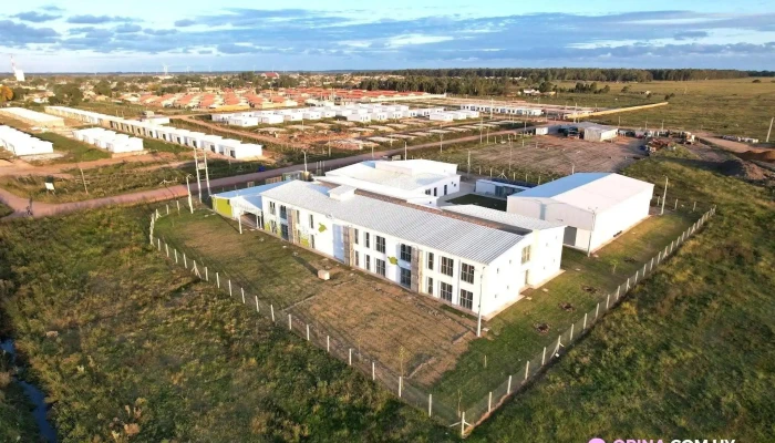 Instituto De Alta Especializacion Chuy Dgetp Todo - Chuy