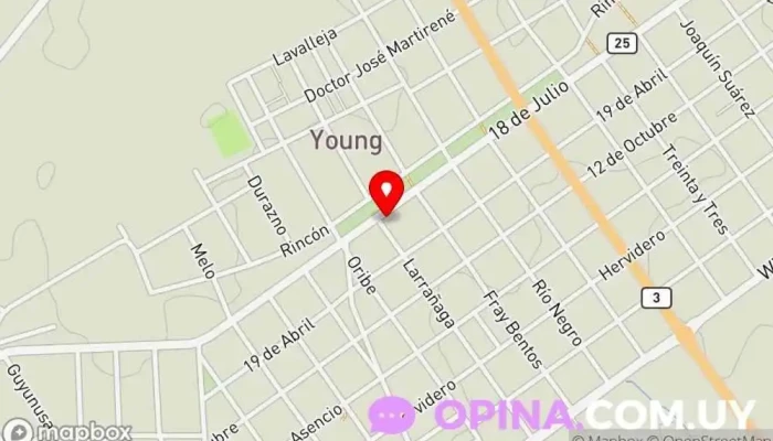 mapa de Instituto de Danzas Karen Pintos Academia de baile en Young