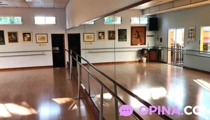 Instituto De Danzas Veronica Samurio Sitio Web - Paysand&uacute;