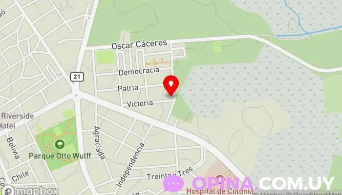 mapa de Instituto de Formación Gimnástica, Colonia Gimnasio en Col. del Sacramento