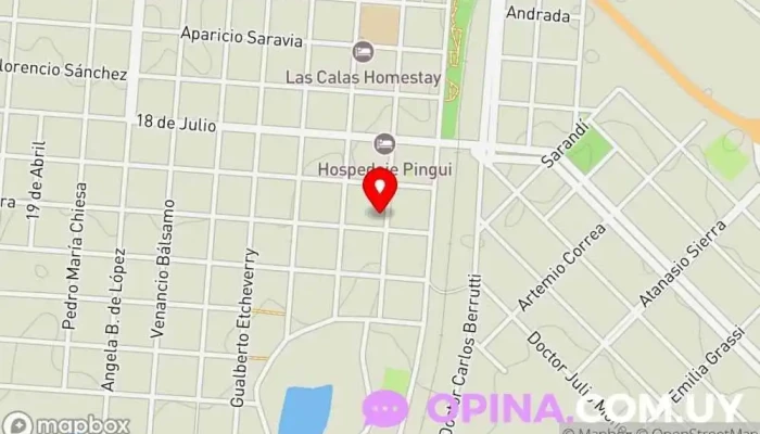 Instituto Educativo Santa Isabel - 45100 Paso De Los Toros