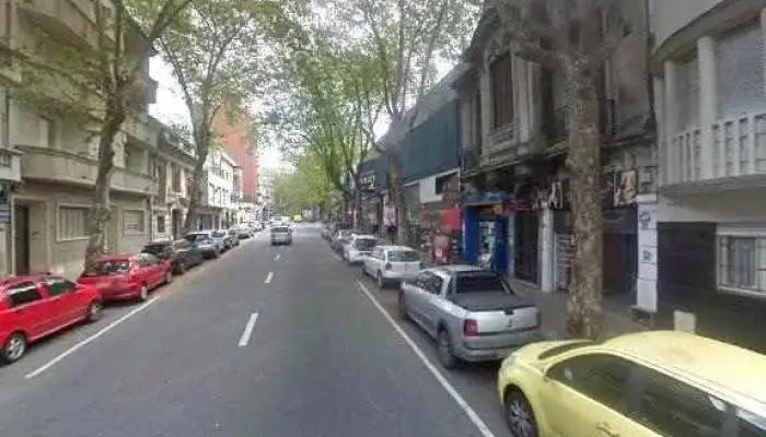 Instituto Fenix Opinionesdeg - Montevideo