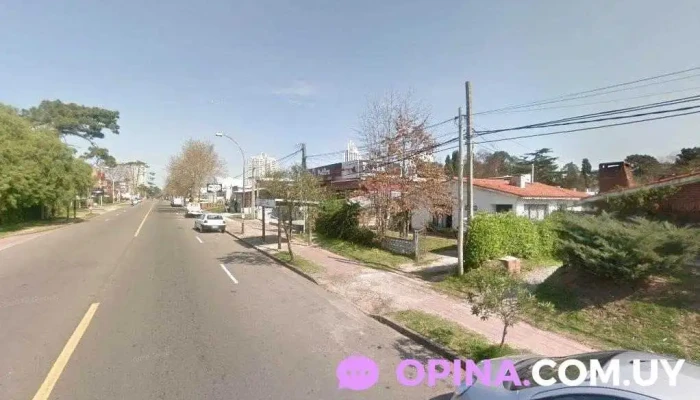 Instituto Greenwich - Maldonado