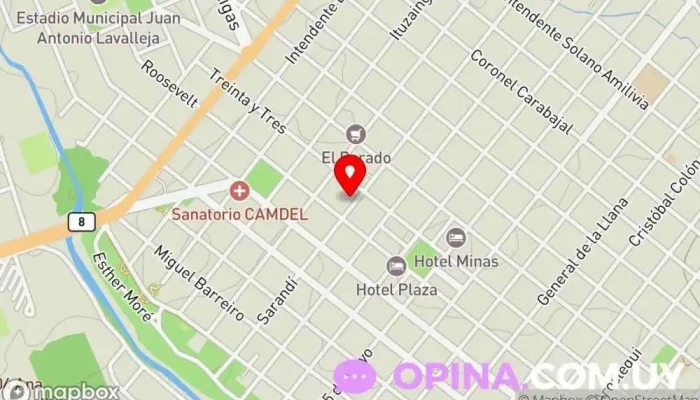 mapa de Instituto ICEDU MINAS Escuela en Minas