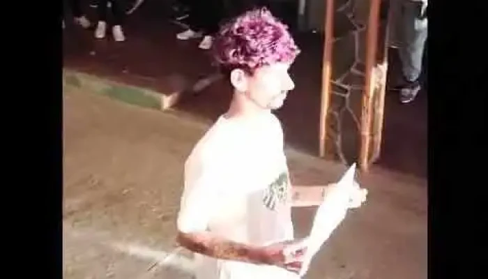 Instituto Libre -  Videos - Castillos