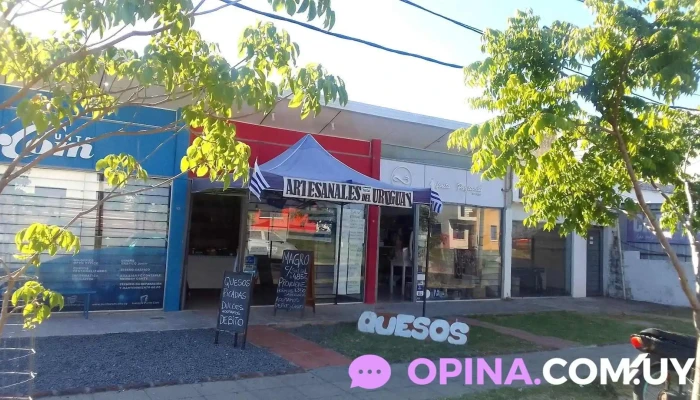 Instituto Punto Com Paysandú – Suc. Norte - Paysandú