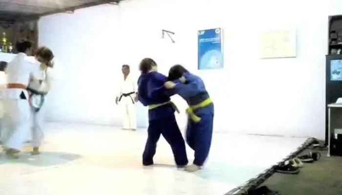 Instituto Samurai Videos - Mercedes