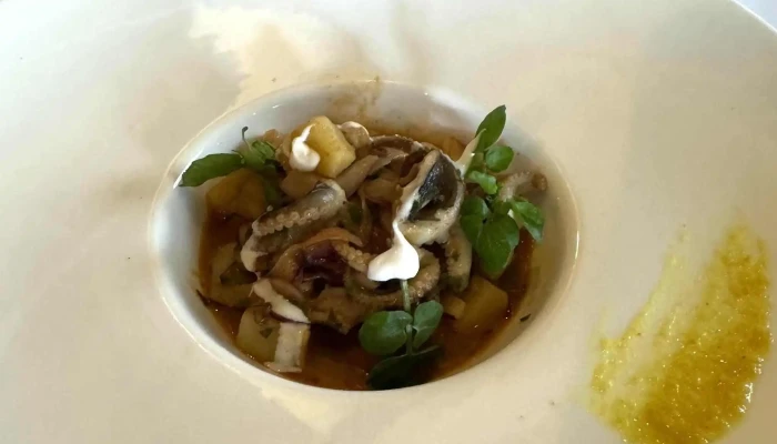 Isidoro -  Comentario 4 - Salto