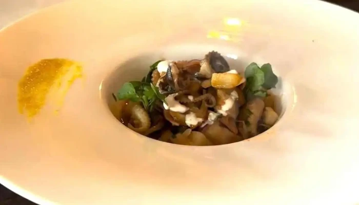 Isidoro -  Videos - Salto