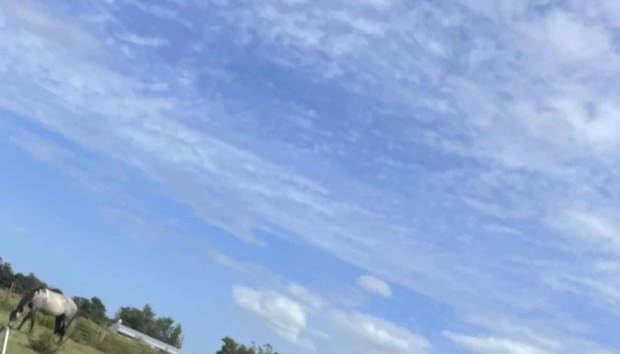 Itakarai -  Catalogo - Soca