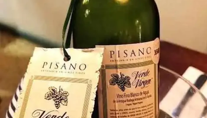 Ithaka Vino - Maldonado