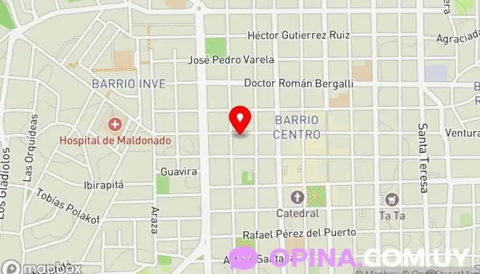 mapa de Ivi Dance Studio Academia de baile en Maldonado