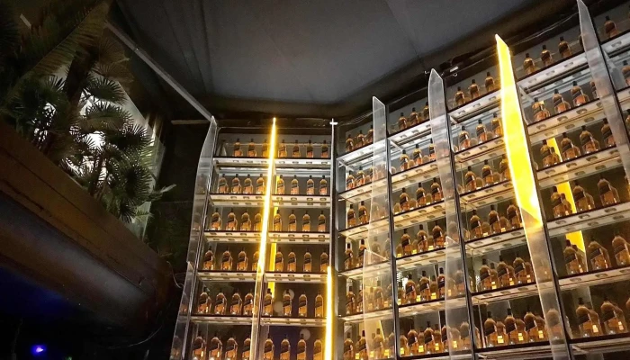 Jackson Bar -  Ambiente - Montevideo