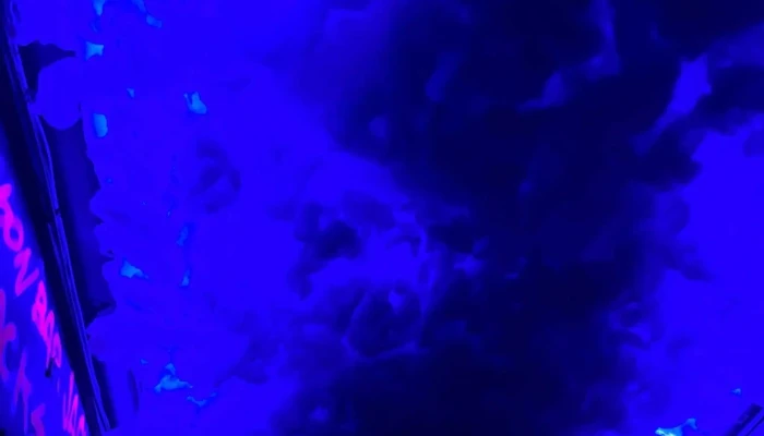 Jackson Bar -  Comentario 4 - Montevideo