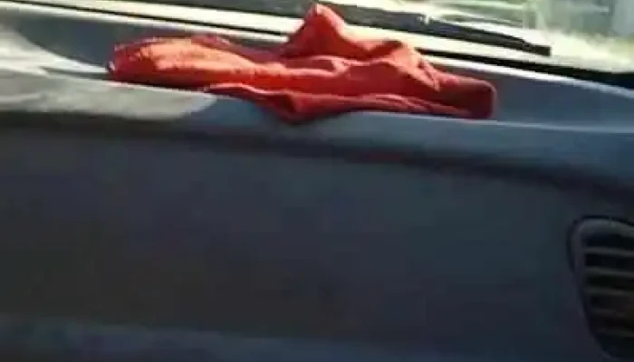 Jardin 290 Videos - Toledo