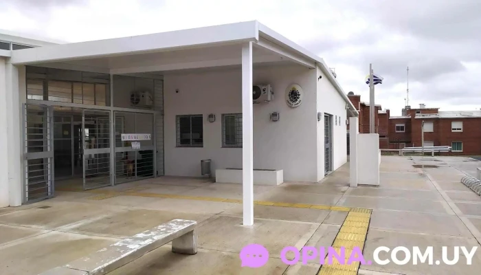 Jardin 393 Sitio Web - Montevideo