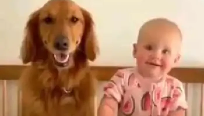 Jardin Arriola Videos - Montevideo