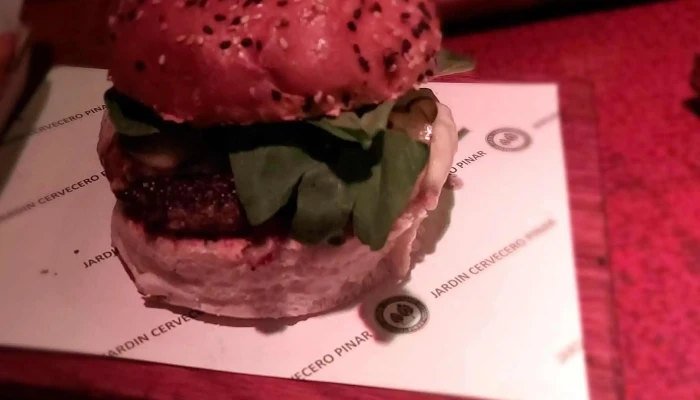 Jardin Cervecero Pinar Comentario 5 - Ciudad de la Costa