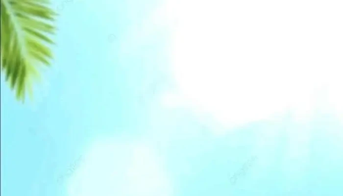 Jardin De Infantes Entreamigos Del Propietario - Pando