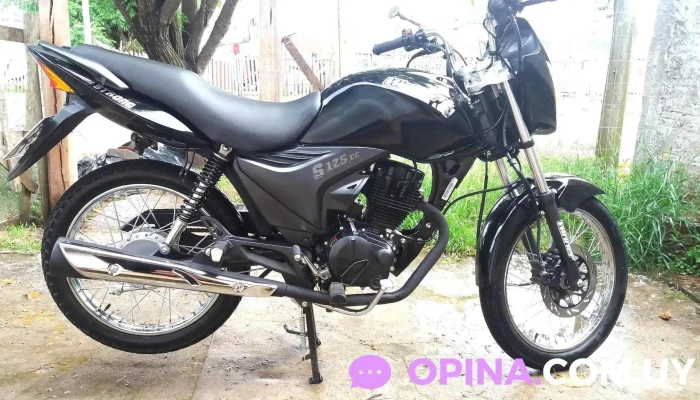 Jardin De Infantes No 137 Promocion - Rivera