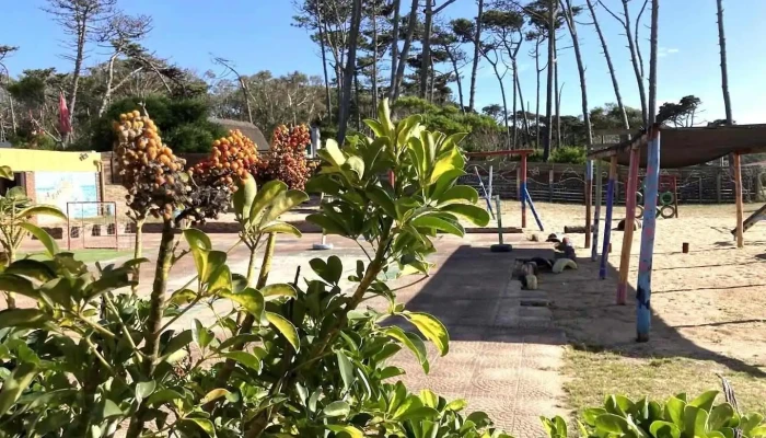 Jardín de Infantes Nº 106 - La Paloma