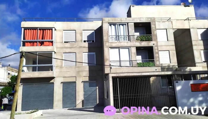 Jardin De Los Molinos -  Numero - Montevideo