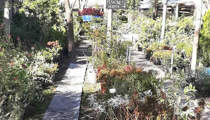 Jardin Escondido Mas Recientes - Juan L. Lacaze