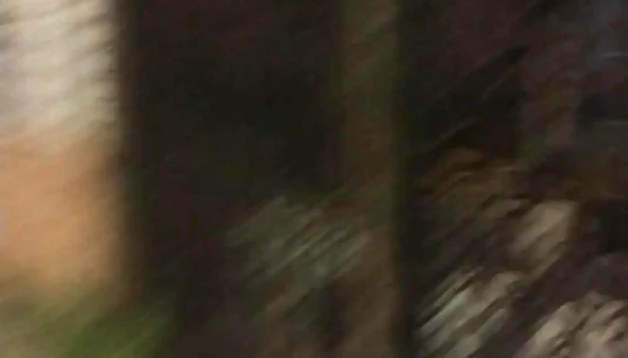 Jardin Snoopy -  Videos - Montevideo