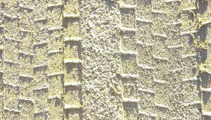 Jauria Exterior - La Paloma