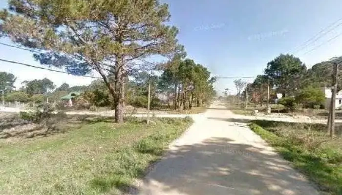 Jauria Ubicaciondeg - La Paloma