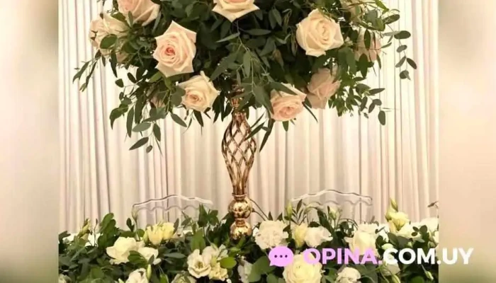 Jm Deco -  Decoracion De Eventos Todo - Juan L. Lacaze