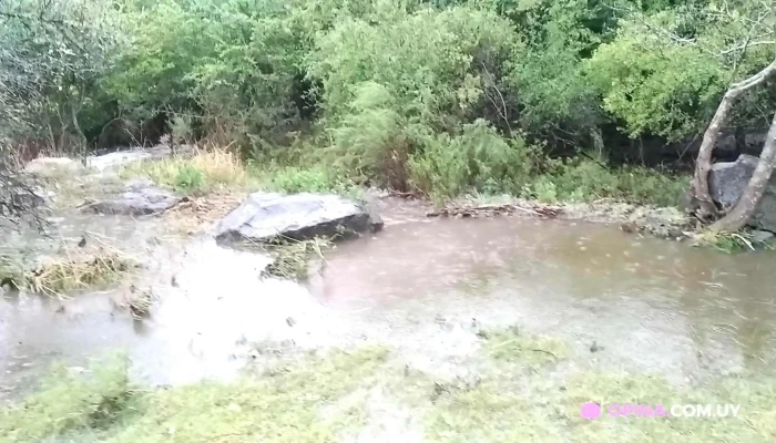 Joaquin Suarez Videos - Joaquín Suárez