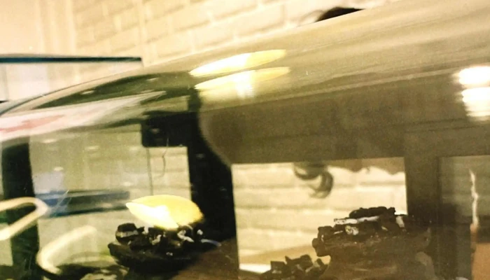 Jofi Sweets Cafe Comentario 7 - Melo