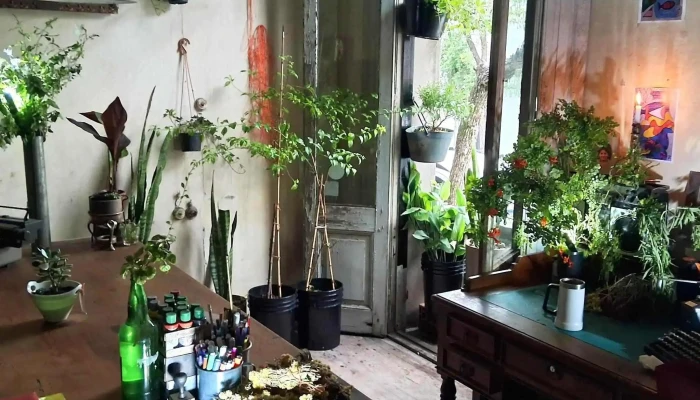 Jose Enrique Rodo 550 Interior - Mercedes